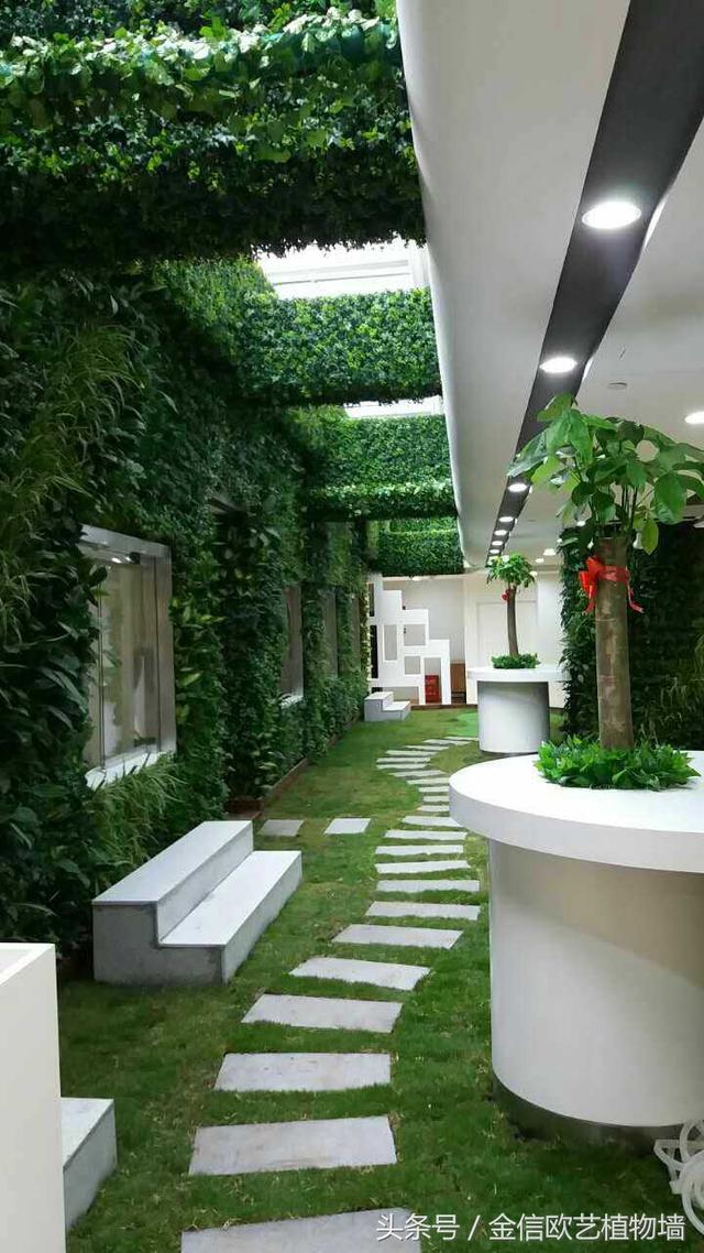 植物墻如何給城市降溫，遏制熱島效應呢？