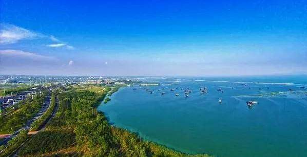 合肥濱湖國(guó)家森林公園4A景區(qū)對(duì)市民開放