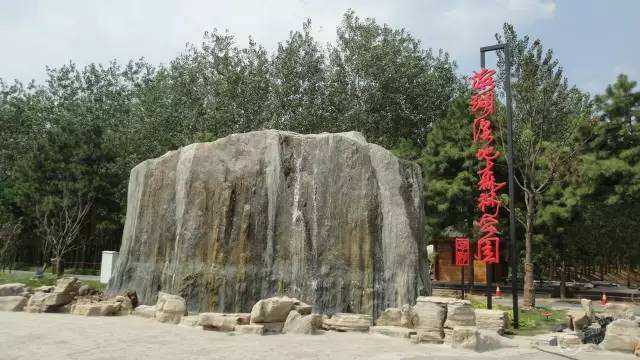 合肥濱湖國(guó)家森林公園4A景區(qū)對(duì)市民開放