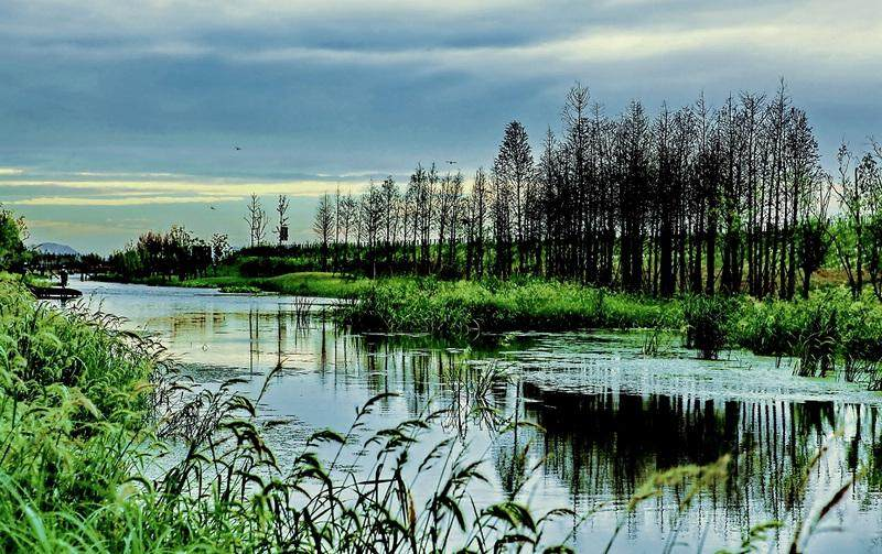 合肥濱湖國(guó)家森林公園4A景區(qū)對(duì)市民開放