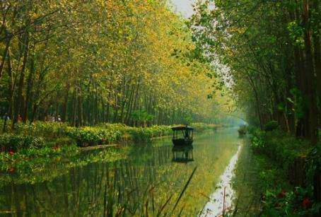 合肥濱湖國(guó)家森林公園4A景區(qū)對(duì)市民開放