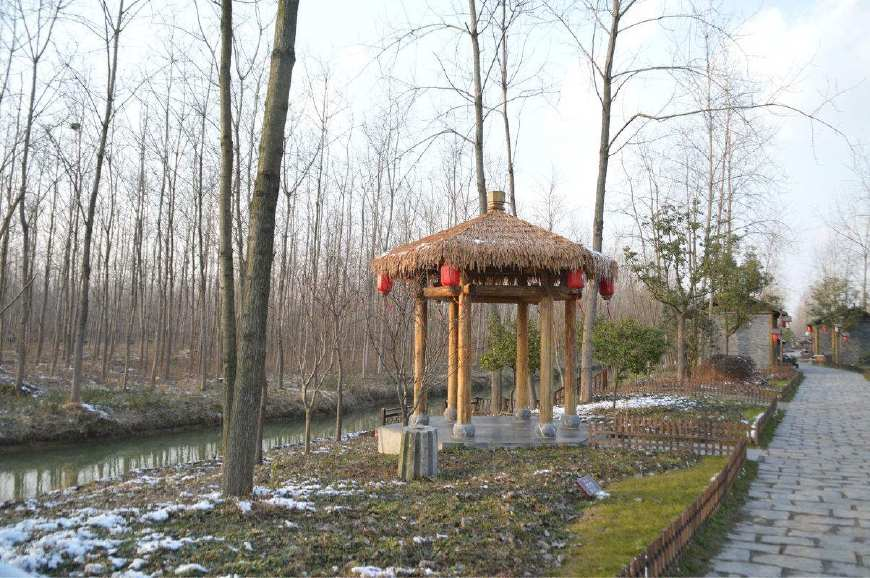 合肥濱湖國(guó)家森林公園4A景區(qū)對(duì)市民開放