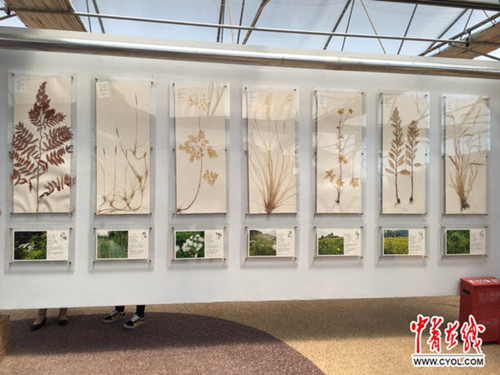 蒙草生態(tài):數(shù)據(jù)化、科技化發(fā)展無處不在