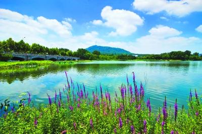 合肥高新區(qū)：蜀峰灣等公園增設景觀燈飾