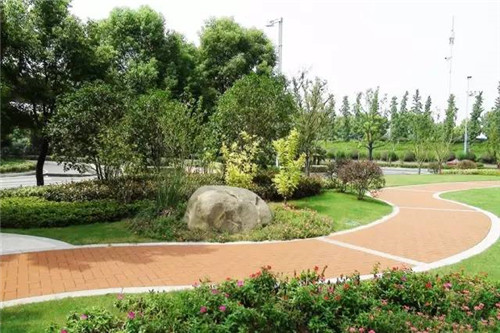 從綠化工程要求，看苗木生產(chǎn)標(biāo)準(zhǔn)
