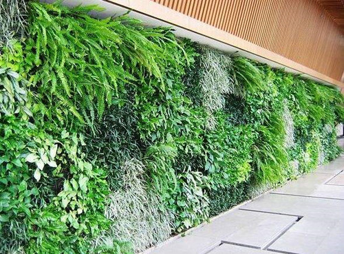 植物墻和垂直綠化是一個概念嗎？