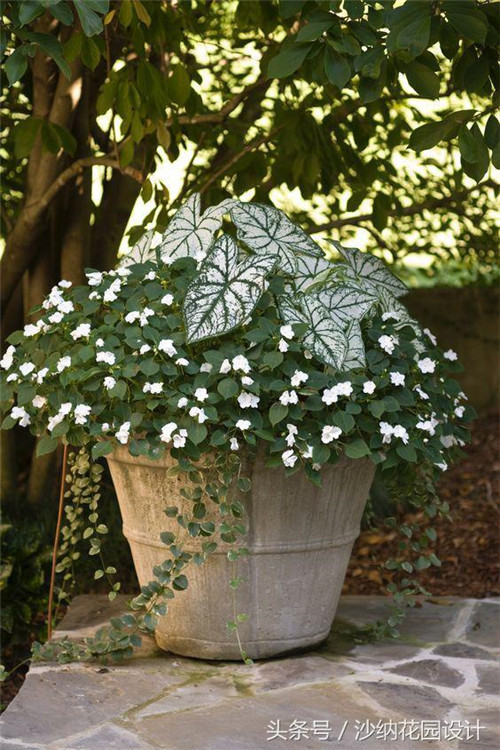 花園中精妙絕倫的插花藝術