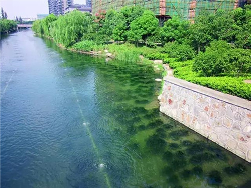 治理河流生態(tài)、 復(fù)活河流生命
