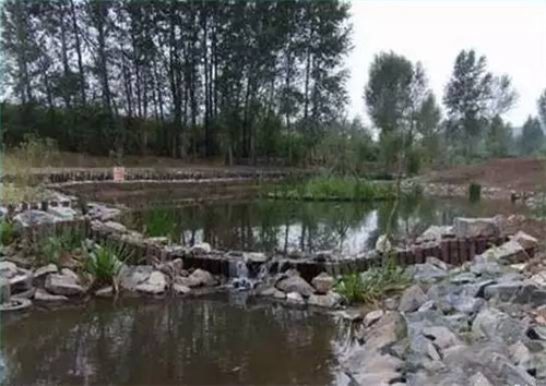 河道生態棲息地的修復設計與施工