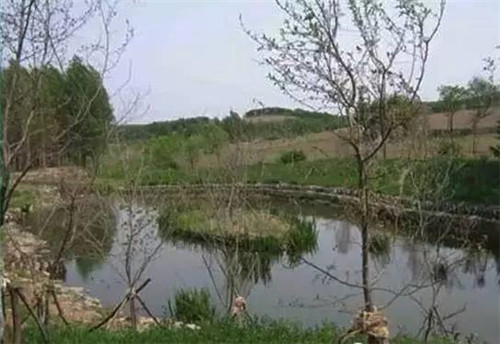 河道生態棲息地的修復設計與施工