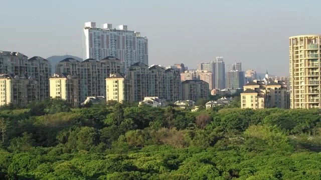 被媒體譽為深圳最美城市公園