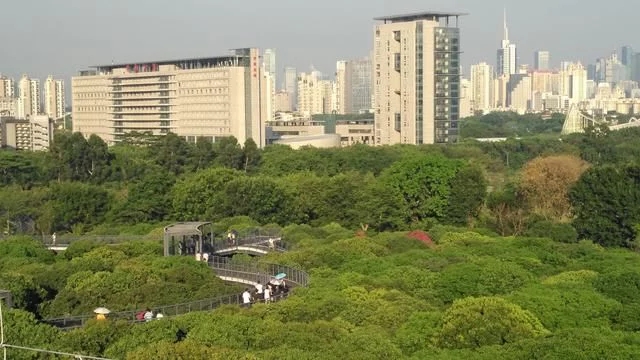 被媒體譽為深圳最美城市公園