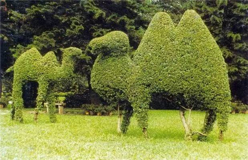 植物雕塑的城市景觀你見過嗎？
