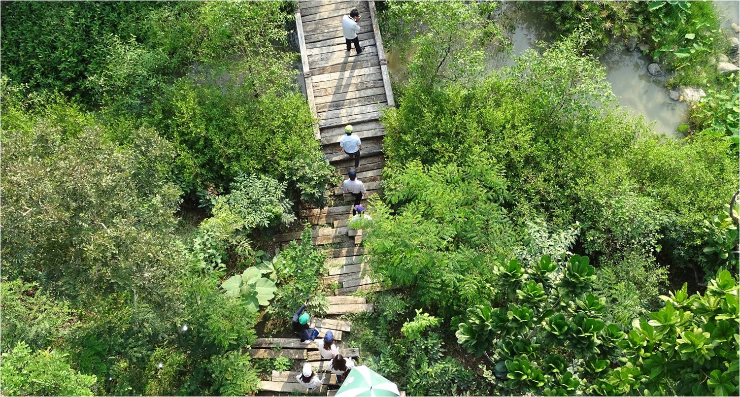 塔瓦才?科博凱奇：生態(tài)城市景觀方法