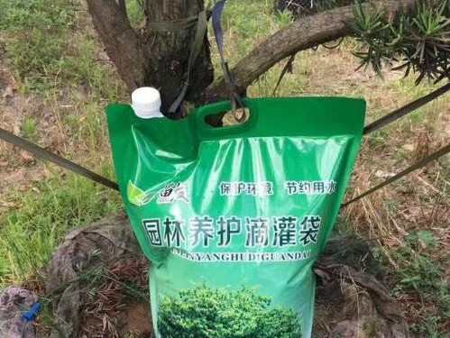 浙江金華一苗農研制出移動園林養護滴灌袋