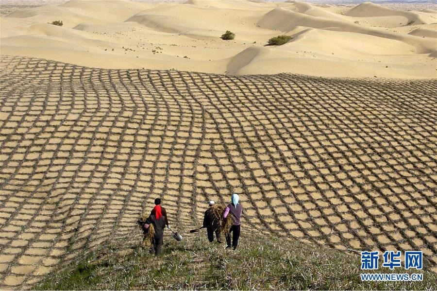我國多地實行生態(tài)修復工程收到成效