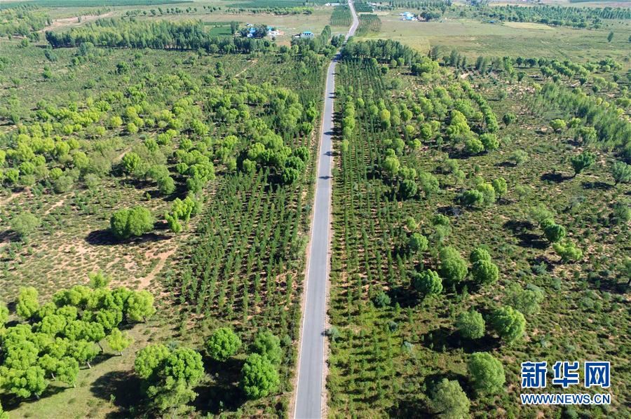 我國多地實行生態(tài)修復工程收到成效