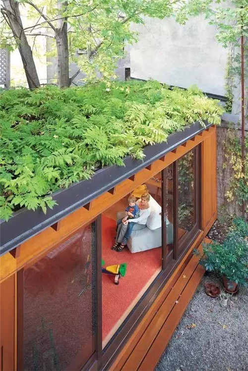 綠植代替瓦片，覆土建筑讓景觀天人合一！