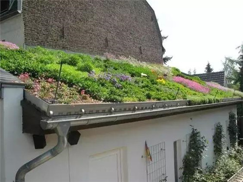 綠植代替瓦片，覆土建筑讓景觀天人合一！