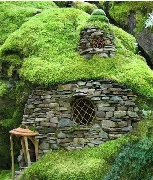 綠植代替瓦片，覆土建筑讓景觀天人合一！
