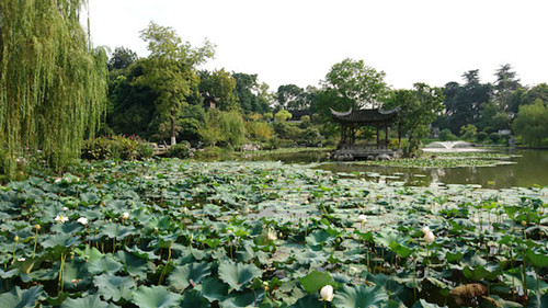 兩座南京明代造園如何重獲新生(多圖)