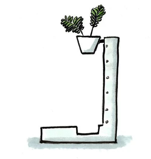 植物有隱藏的記憶?