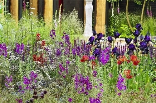 歐洲的花園為何被稱為庭院設計中的典范？