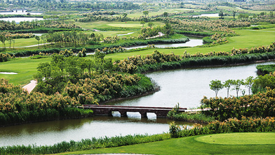 河北滄州:鹽堿灘上崛起生態城