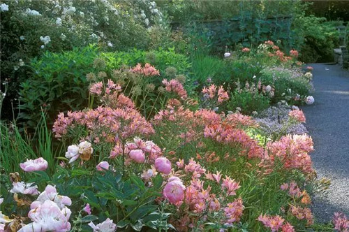 花境:打造天然植物之美