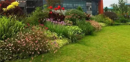 花境:打造天然植物之美