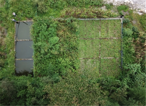 探訪自然保護區無動力污水處理系統