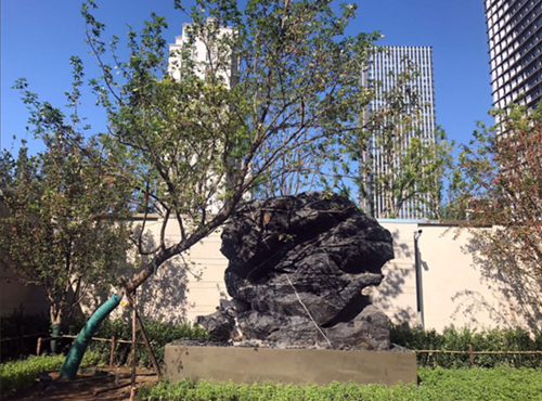 園冶杯專業獎:天津譽峰園園林景觀工程