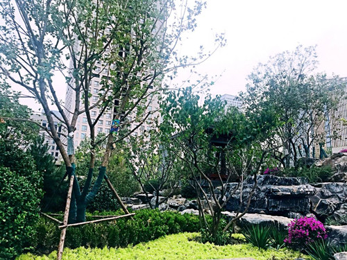 園冶杯專業獎:天津譽峰園園林景觀工程