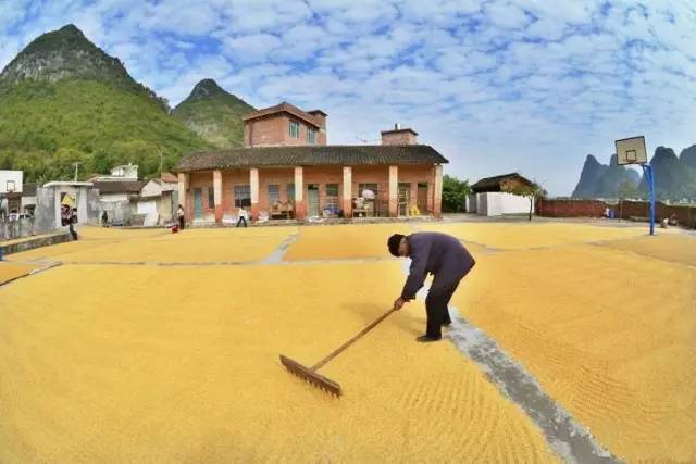 鄉村公共空間打造助推美麗鄉村建設