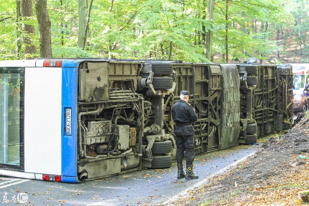 國外一森林公園中城市大巴在森林道路上側(cè)翻