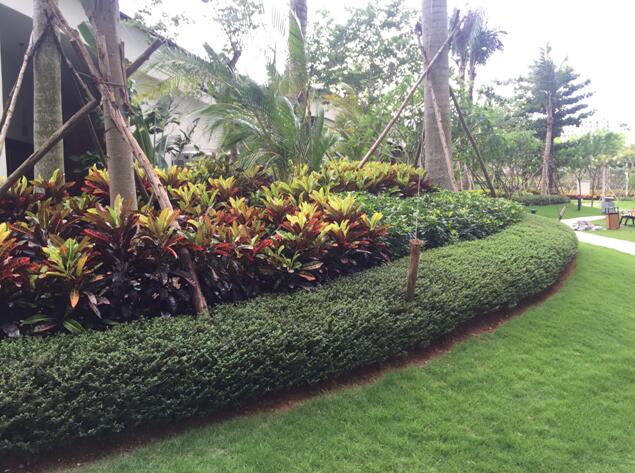 專業(yè)獎(jiǎng):海南省瓊海市和順小區(qū)一期改造工程