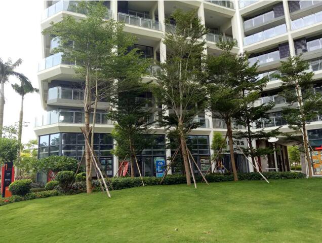 專業(yè)獎(jiǎng):海南省瓊海市和順小區(qū)一期改造工程