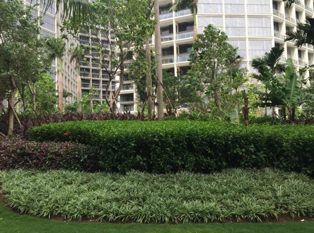 專業(yè)獎(jiǎng):海南省瓊海市和順小區(qū)一期改造工程