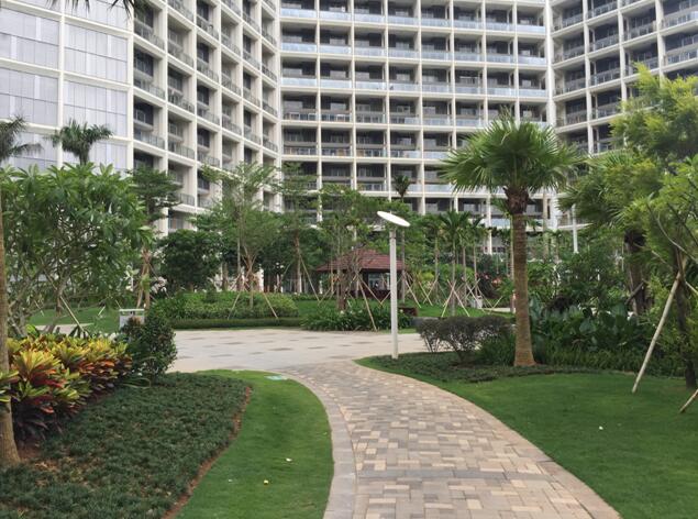 專業(yè)獎(jiǎng):海南省瓊海市和順小區(qū)一期改造工程