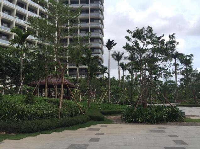 專業(yè)獎(jiǎng):海南省瓊海市和順小區(qū)一期改造工程