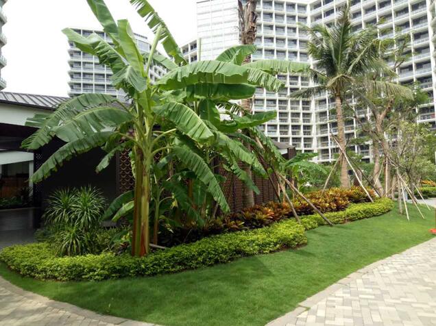 專業(yè)獎(jiǎng):海南省瓊海市和順小區(qū)一期改造工程