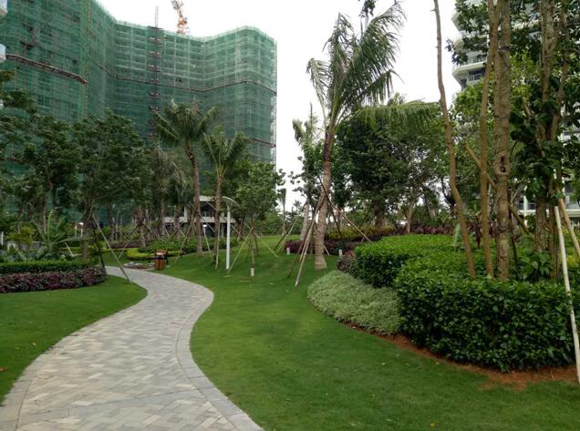 專業(yè)獎(jiǎng):海南省瓊海市和順小區(qū)一期改造工程