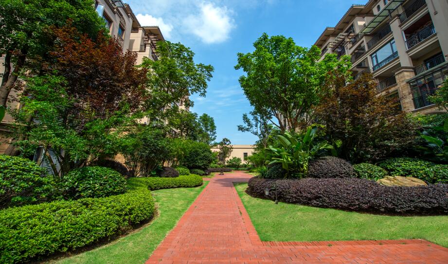 2017園冶杯專業(yè)獎:金科?中央公園城