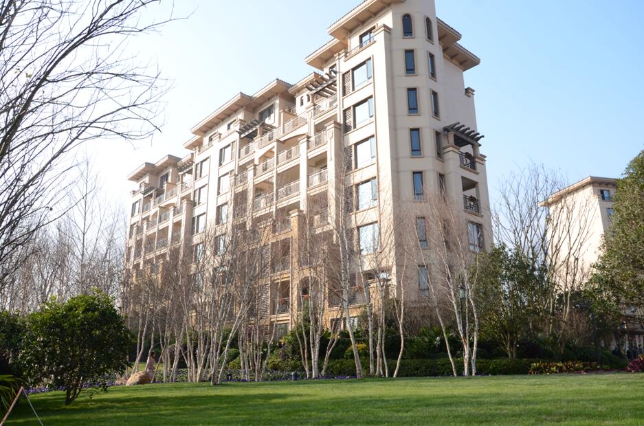 2017園冶杯專業(yè)獎:金科?中央公園城