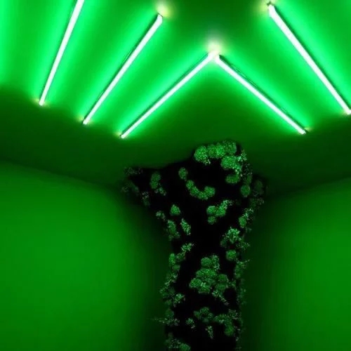 時尚、藝術、花卉 一場盛開的對話