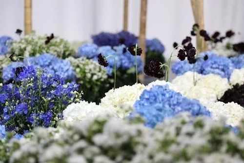 時尚、藝術、花卉 一場盛開的對話