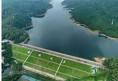 古樹寺廟和綠道,走進梅林人的后花園