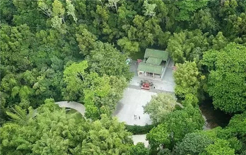 古樹寺廟和綠道,走進梅林人的后花園