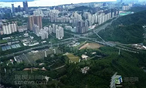 古樹寺廟和綠道,走進梅林人的后花園
