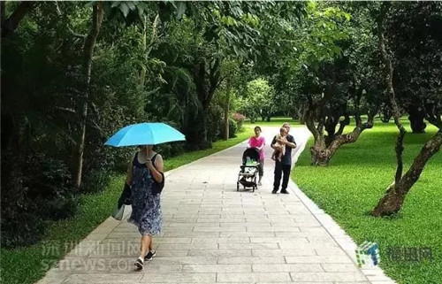 古樹寺廟和綠道,走進梅林人的后花園